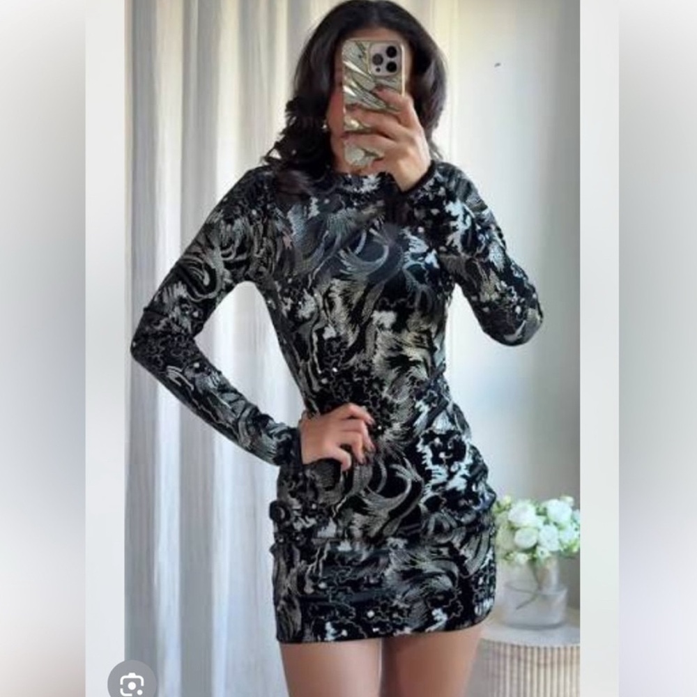 Zara Embroidered Velvet Dress